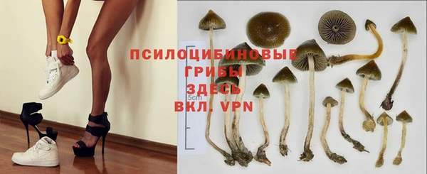 кокс Аркадак