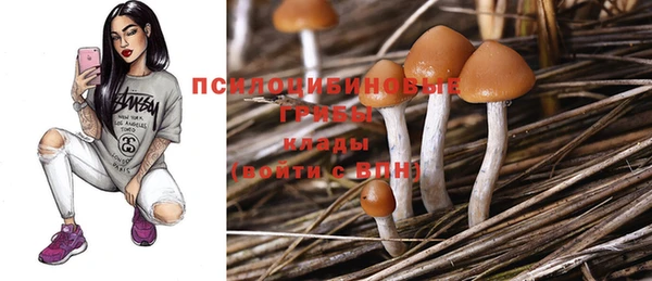 прущая мука Арсеньев