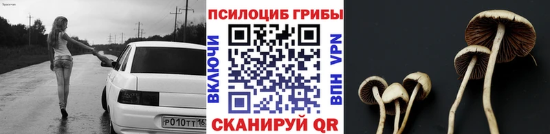 MEGA сайт  Салават  Псилоцибиновые грибы ЛСД 
